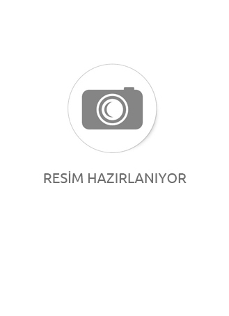 200 Kadın Stiletto Sivri Burun İnce Topuklu Ayakkabı